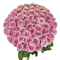 Pretty Impression with Bunch of Pink Roses
