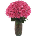 Blushing 48 Pink Rose Bouquet for New Year