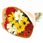 Striking 24 Mixed Gerbera Bouquet