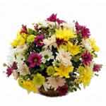 Blooming Bounty Daisy and Chrysanthemum Basket