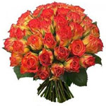 Dazzling Bunch of 24 Orange Roses