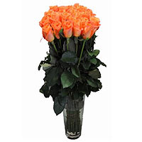 Color-Coordinated Orange Roses gathered in a Glass Vase