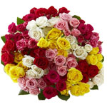 Colorful Bundle of Mixed Roses