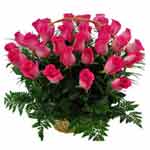 Beautiful Arrangement of Two Dozen Cherry Roses in a Woven Basket