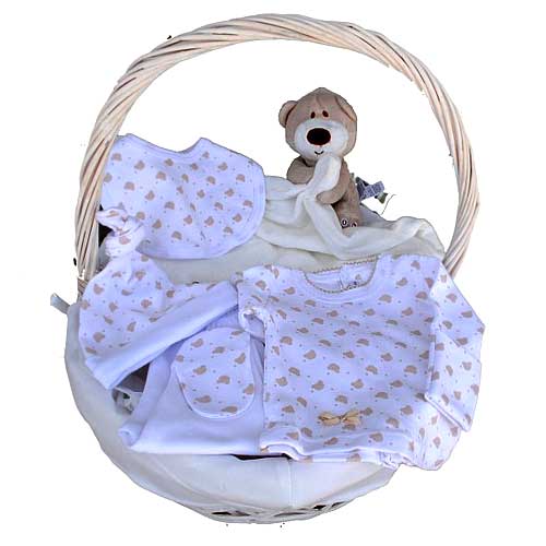 Greet your dear ones with this Bond of Affection Newborn Baby Care Gift Basket a...