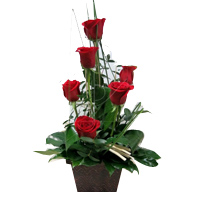 Attention-Getting Selection of 6 Red Roses in a Basket