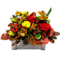 Glorious Just for You Sundry Flowers Collection