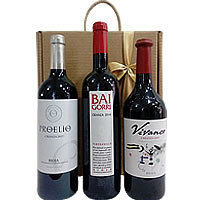 Wonderful Festive Cheers Wine Collection
