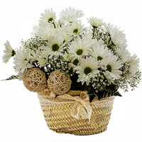 Blooming Love Mixed Flowers Basket for Mothers Day