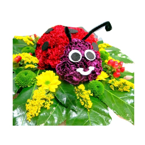 Ladybug Carnation