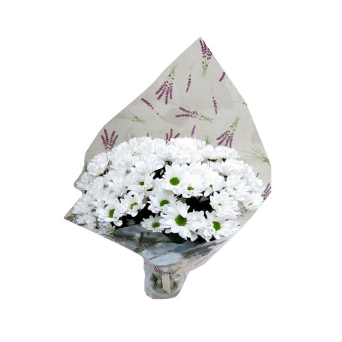 This elegant arrangement of white daisies will lea...