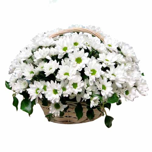 Magical Count Your Blessings White Daisies Basket