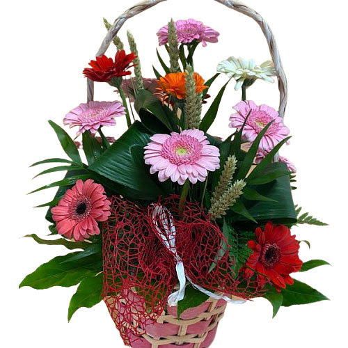 Charming Moms Day Special Basket of Assorted Gerberas