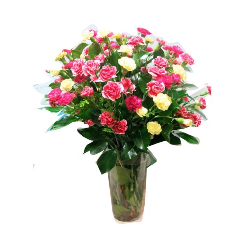 This breathtaking bouquet of fresh carnations is a......  to Segovia