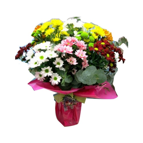 This charming bouquet of daisies is a colorful nat......  to Melilla