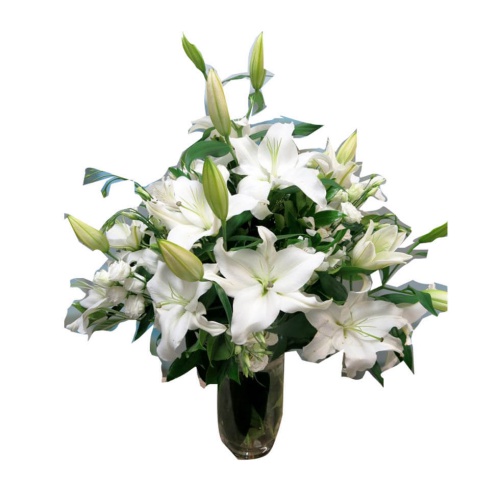 White Lilies In A Pot