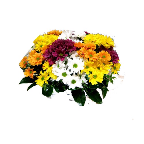 A basket of assorted daisies is a vibrant, colorfu......  to Valladolid
