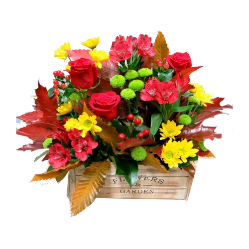 Surprise and delight a loved one with this boxed f......  to Burgos