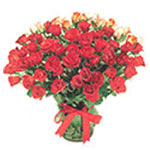 Gift Wrapped fifty Red Roses