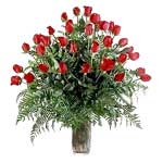 Gift Wrapped Hundred Red Roses