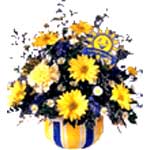 Yellow Gerberas Arrangement