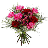 Blooming Heartfelt Celebration Bunch of Mix Roses