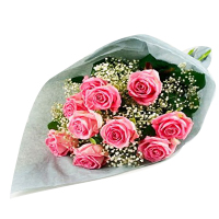 Breathtaking Beauty of Pink Roses Collection