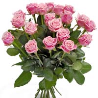 Rose Pink dreams! A wonderful bouquet of crisp-pink roses to convey love and app...