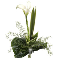 A monumental presentation of white calla lilies, artistically bound with differe...