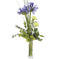 Spectacular bouquet of beautiful blue love lily and fresh lime-colored flowers w...