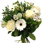 Round and compact tied bouquet of white roses, white alstromeria, white mini ger...