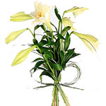 Classic lilies, white as snow, and the scent of summer....