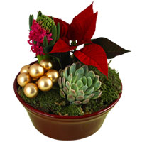Attractive Mixed Floral Red Planter