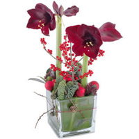 Jewel-Toned Amaryllis Planted in a Transparent Bowl