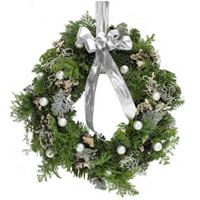 Mesmerizing Presenteation of Silver Door Wreath