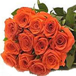 Orange Roses Bunch