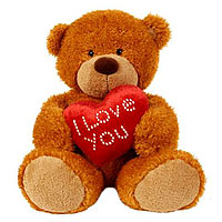 Sending a teddy bear is the perfect gift for anyone and unlike flowers or chocol...