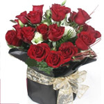 Classic Black Allura Red Rose for Valentine's Day