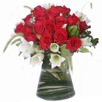 Cherished Madly in Love Red Roses Arrangement