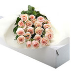 Cheerful 20 Pink Roses Box