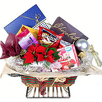 TheNew Year Gourmet hamper with all kind of beliga...