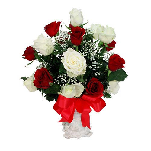 Breathtaking Red and White Blossoms for Valentine