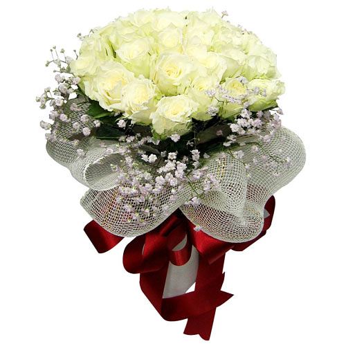 Special Beauty of White Rose Flower