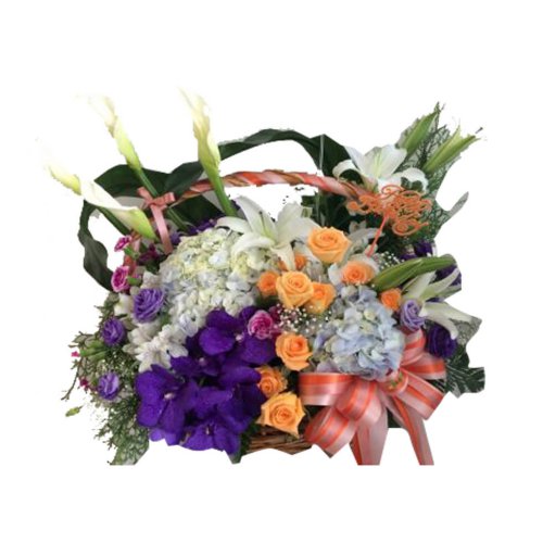 A bouquet of color blooms in your room with this a......  to Suphanburi