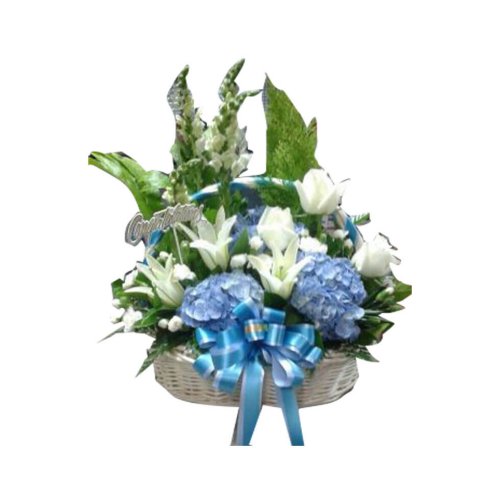 These vibrant blue and white flowers will create a......  to Surin