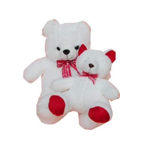 A teddy bear is a plush toy. It represents comfort......  to Nakhon Sawan