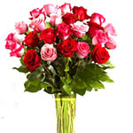 Elegant Pink and Red Rose Vase