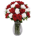 Radiant Red And White Roses In Vase