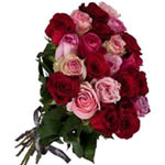 Send Roses to Tunisia