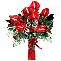 Anthuriums and Roses of Love. 12 red roses and 7 a...